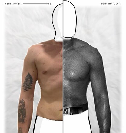 Torso Comparison