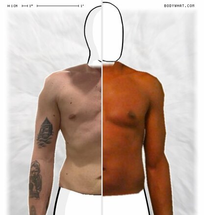 Torso Comparison