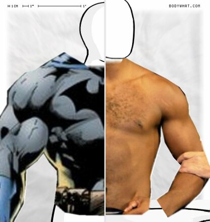 Torso Comparison