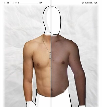 Torso Comparison