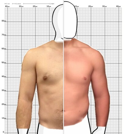 Torso Comparison