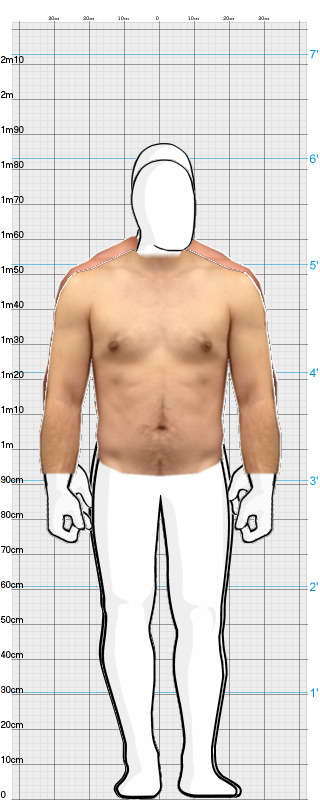 Full Size Comparison