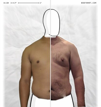 Torso Comparison