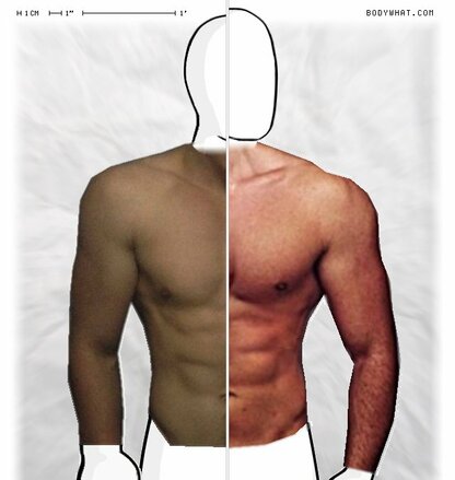 Torso Comparison