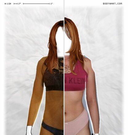 Torso Comparison