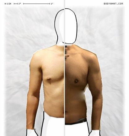 Torso Comparison