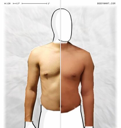 Torso Comparison