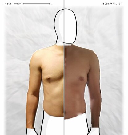 Torso Comparison