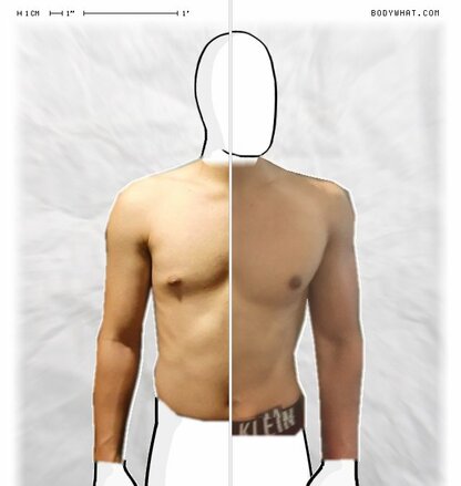 Torso Comparison