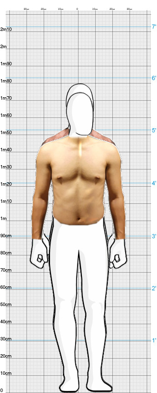 Full Size Comparison