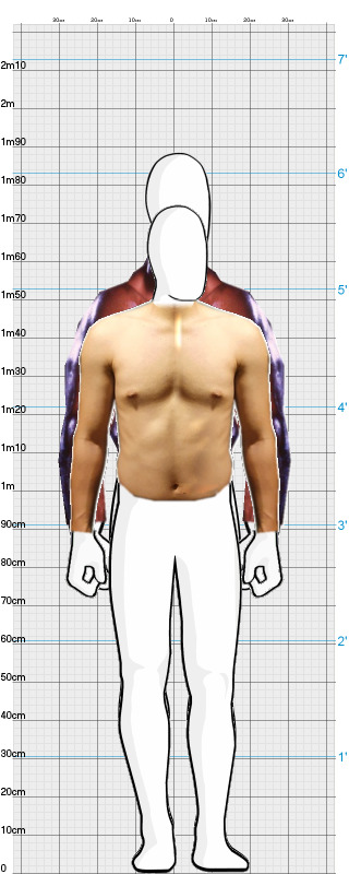 Full Size Comparison