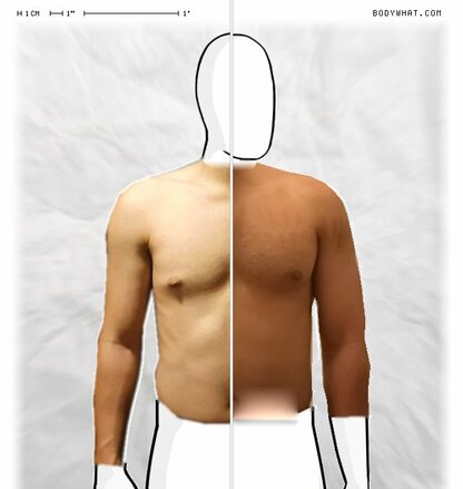 Torso Comparison