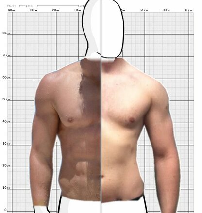 Torso Comparison