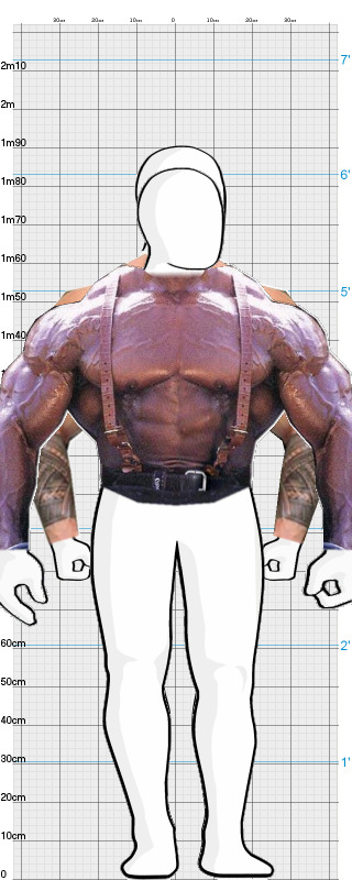 Full Size Comparison