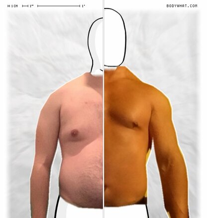 Torso Comparison