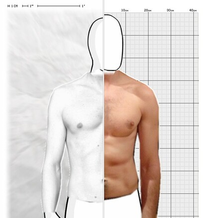 Torso Comparison