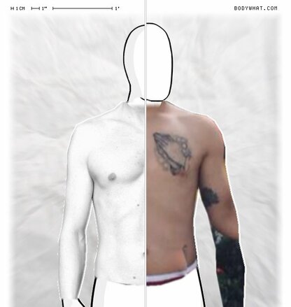 Torso Comparison