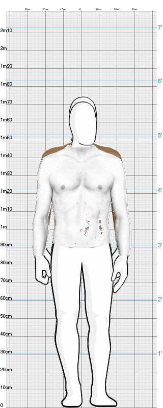 Full Size Comparison