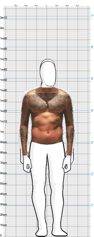 Full Size Comparison