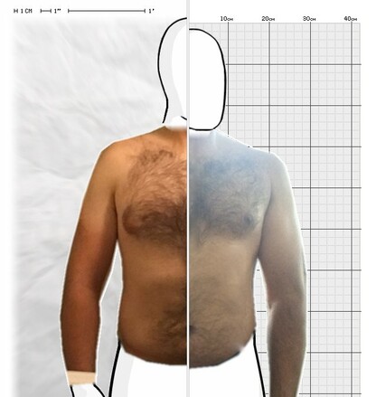 Torso Comparison