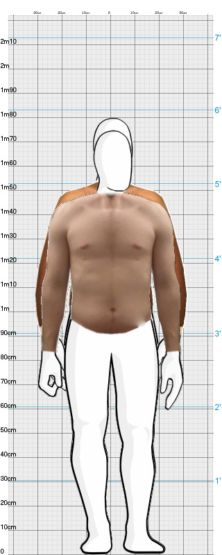 Full Size Comparison