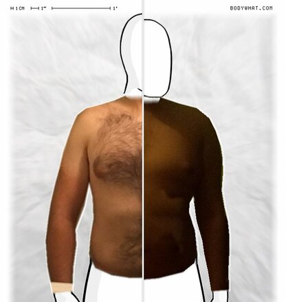 Torso Comparison