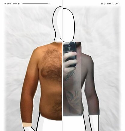 Torso Comparison