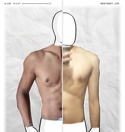 Torso Comparison