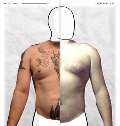 Torso Comparison