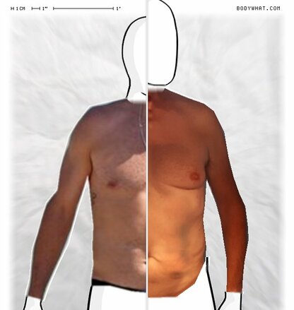 Torso Comparison