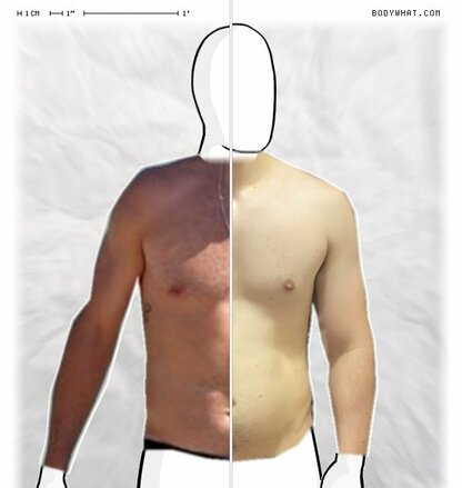 Torso Comparison