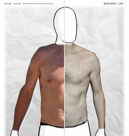 Torso Comparison