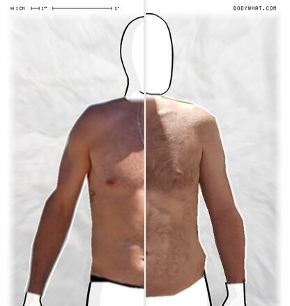 Torso Comparison