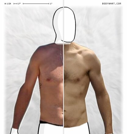 Torso Comparison