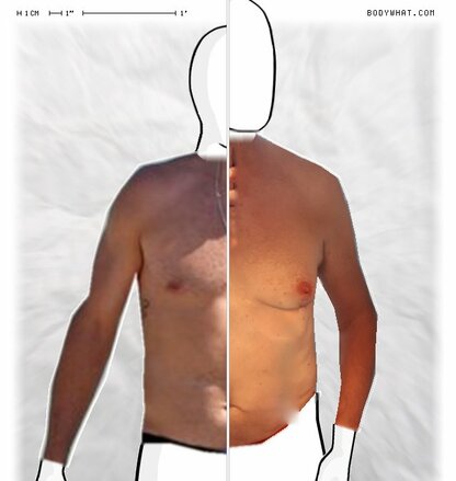 Torso Comparison