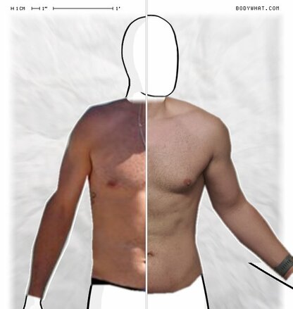 Torso Comparison