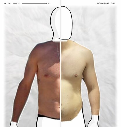 Torso Comparison