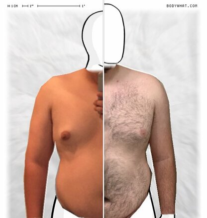 Torso Comparison