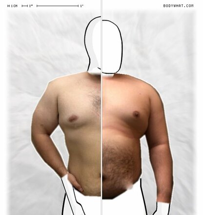 Torso Comparison