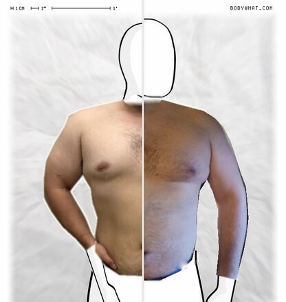 Torso Comparison
