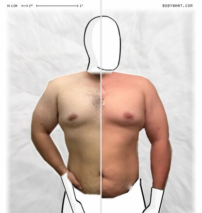 Torso Comparison