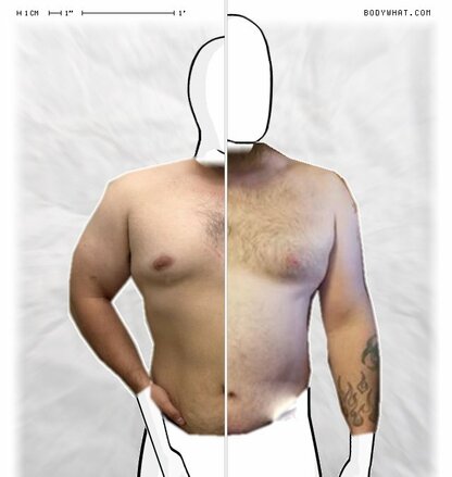Torso Comparison