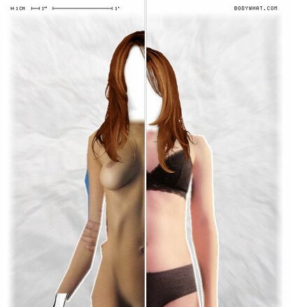 Torso Comparison
