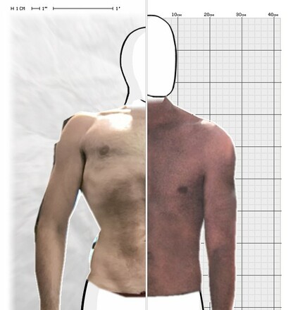 Torso Comparison