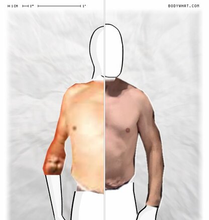 Torso Comparison