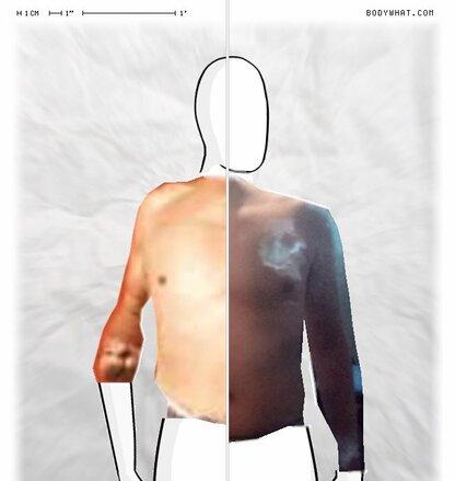 Torso Comparison