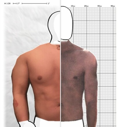 Torso Comparison