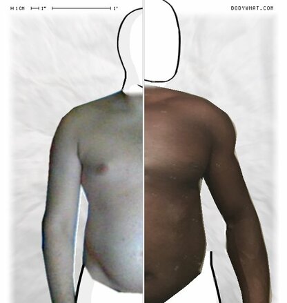 Torso Comparison