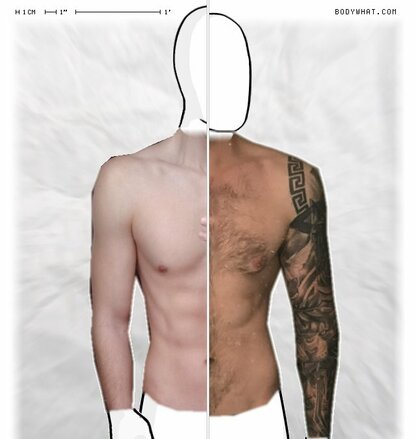 Torso Comparison