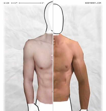 Torso Comparison